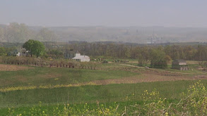 Suzanne Schoff thumbnail