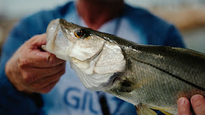 Snook Town thumbnail