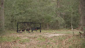 Shooting Competition Lane 3 thumbnail