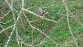 Hawkeye State, Sunflower State thumbnail