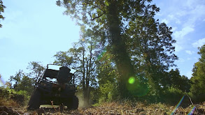 Kudzu Bluff Whitetails thumbnail