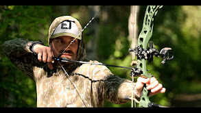 Manitoba Bear thumbnail