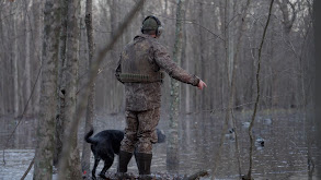 Arkansas Flooded Timber Ducks thumbnail