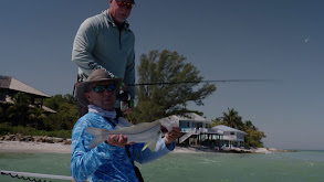 Ozzie Lessinger thumbnail