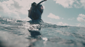 Chub Cay Pt 2 thumbnail