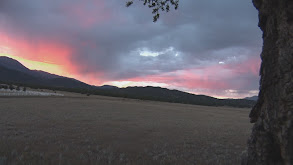 Colorado Muley - TGR - 2015 thumbnail