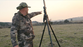 Shankfest Hogs thumbnail