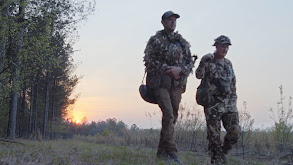 South Carolina Turkeys thumbnail