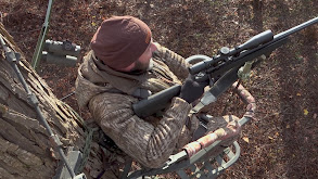 Togo Island Bucks: 2021 thumbnail