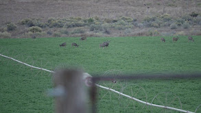 Best of Season 2 thumbnail