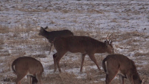 Join the Movement thumbnail