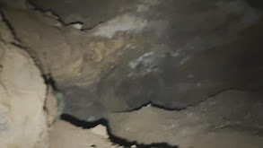 Green Creature in Aruba Cave and More thumbnail