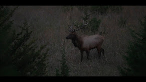 Show-Me State Slam thumbnail