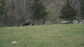 The Fly Down Party 2021 thumbnail