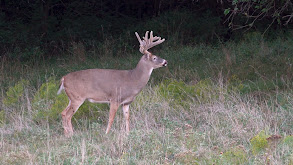 Waiting on the Weather thumbnail