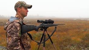 Big Bulls in the Fog thumbnail