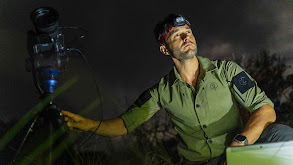 Blackbeard's Ghost thumbnail