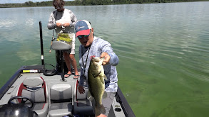 Contrasting Bass thumbnail