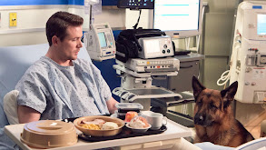 Flare of the Dog thumbnail