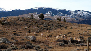 Takes an Army thumbnail