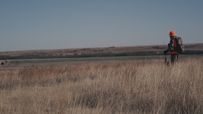 The Heartbeat of America thumbnail