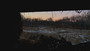 Whitetail Train Part 1 thumbnail