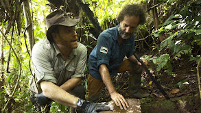 Uncovering the Golden City thumbnail