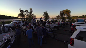 2017 All Angles - The Nature of the Brown Beast thumbnail