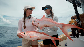 A Look Ahead to Gale Force Twins thumbnail