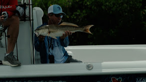 Bank Beatin' thumbnail