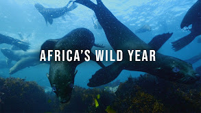 Africa's Wild Year thumbnail
