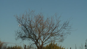 Making up for Lost Time thumbnail