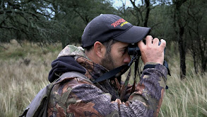 Return for the Roar thumbnail