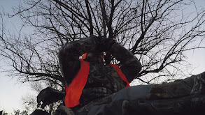 Once In a Lifetime thumbnail