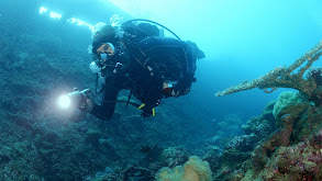 Ghosts of the Pacific thumbnail