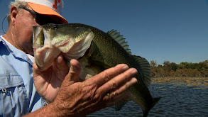 Questions Bring Answers thumbnail