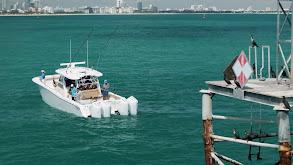 Ocean Reef Pt.1 thumbnail