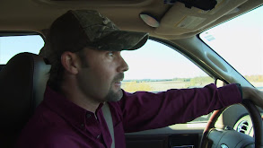 Strength in Numbers thumbnail