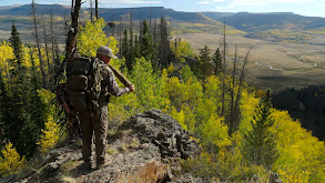 Gangbuster or Bust Elk Hunt thumbnail