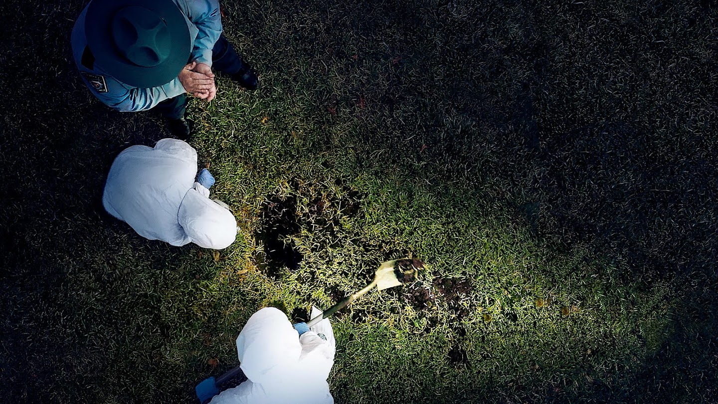 Buried in the Backyard