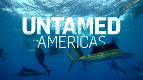 Untamed Americas thumbnail